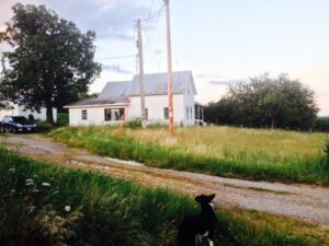 Read more about the article From My Makeshift Office on the Farm: Getting the Writing Right!