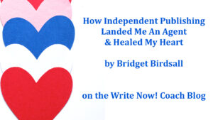 Read more about the article On “Write Now” Blog: My Son Said, “Why Not Self-Publish, Mom!”