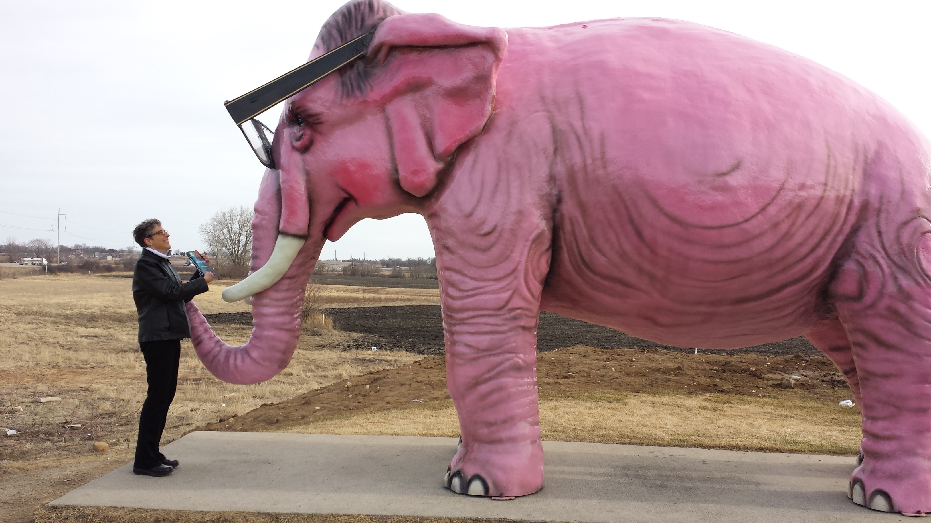 Author Bridget Birdsall's YA novel Double Exposure elephant in the room!
